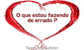 O que estou fazendo de errado ?